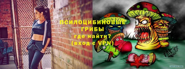 не бодяженный Алексин