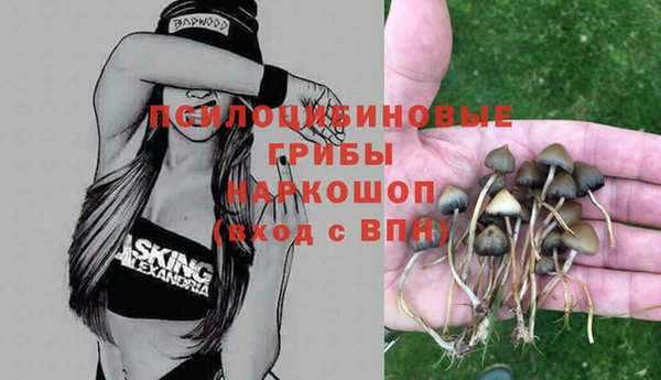 винт Алзамай