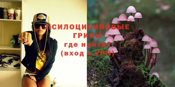 не бодяженный Алексин